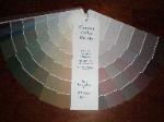 customized color palette